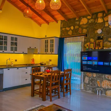 Luxury Stone House With Indoor - Outdoor Pools, Turkish Bath And Sauna In Fethiye